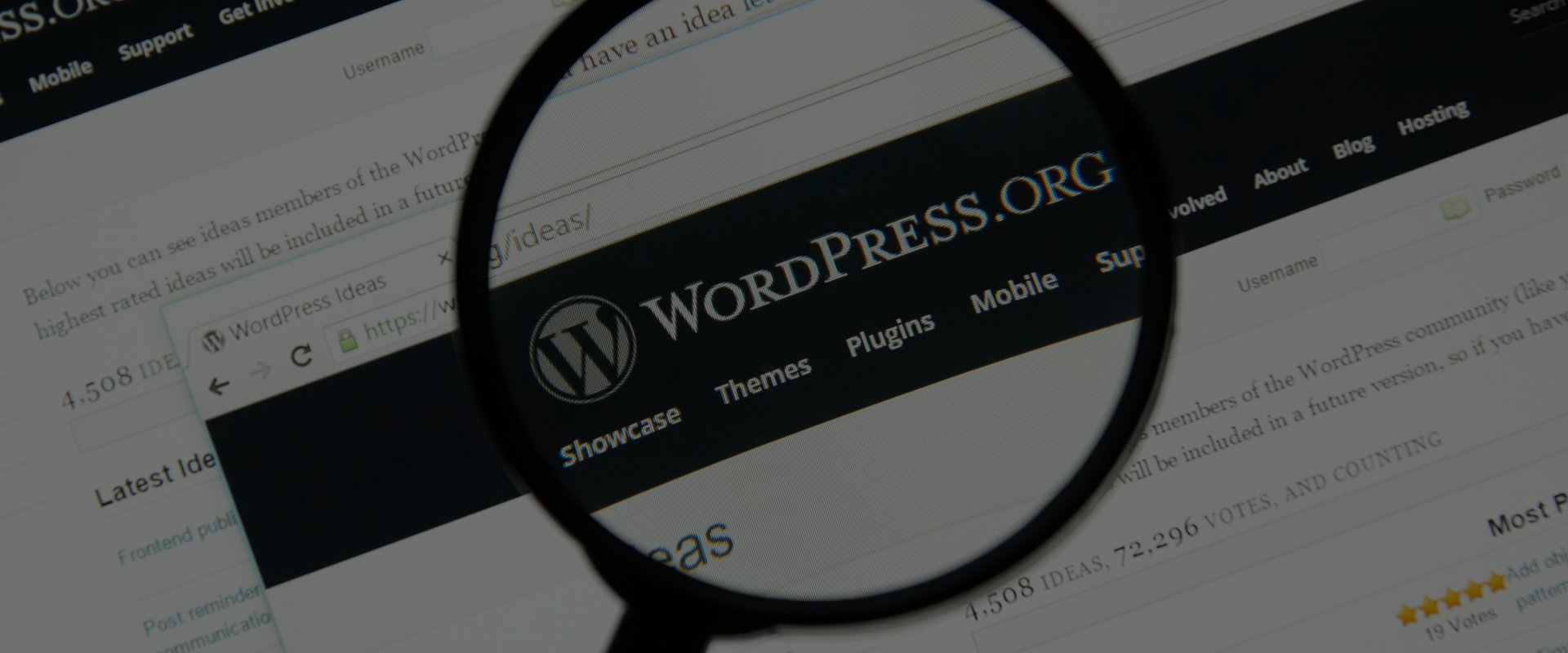 WordPress